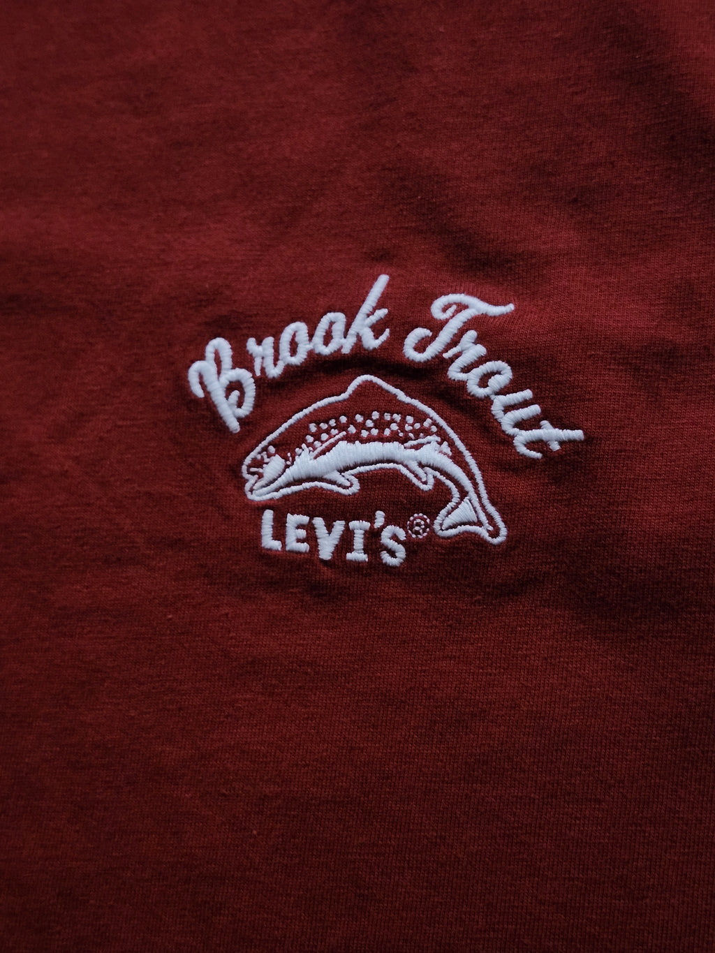 Camiseta Levi’s- Brook Trout