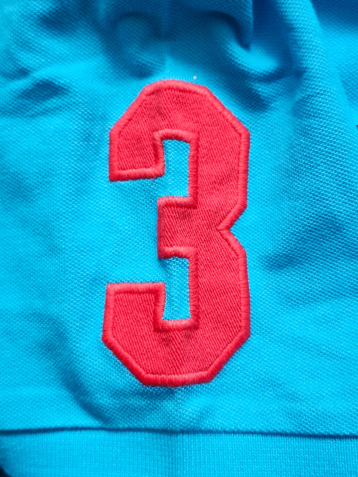 Camiseta US Polo