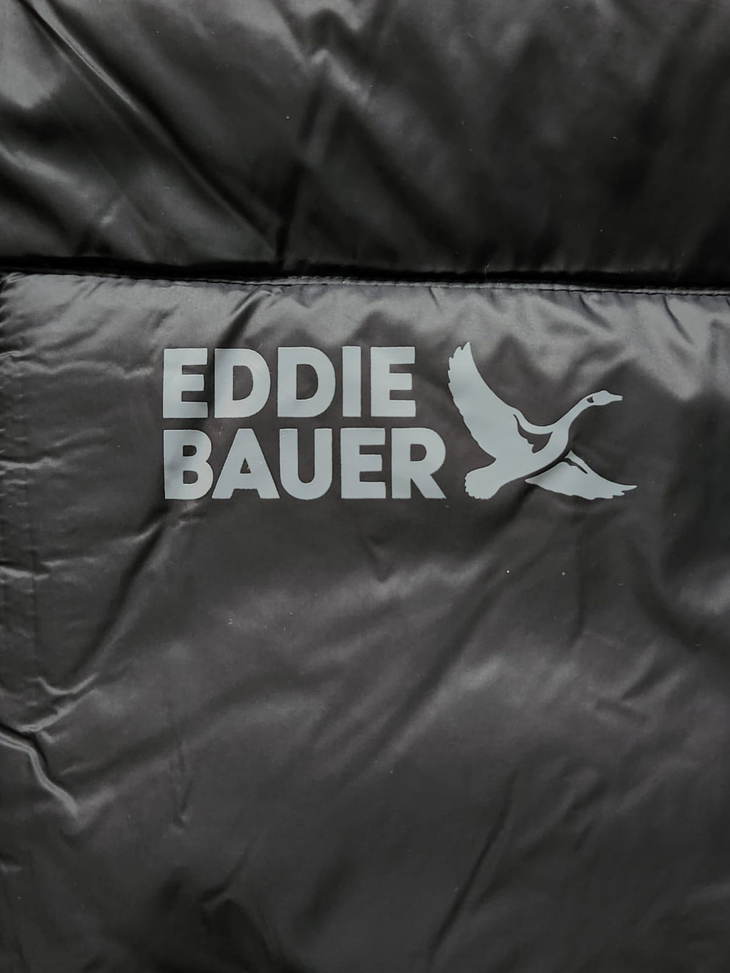 Chaqueta Eddie Bauer Stratuslite Crosstown Hoodie
