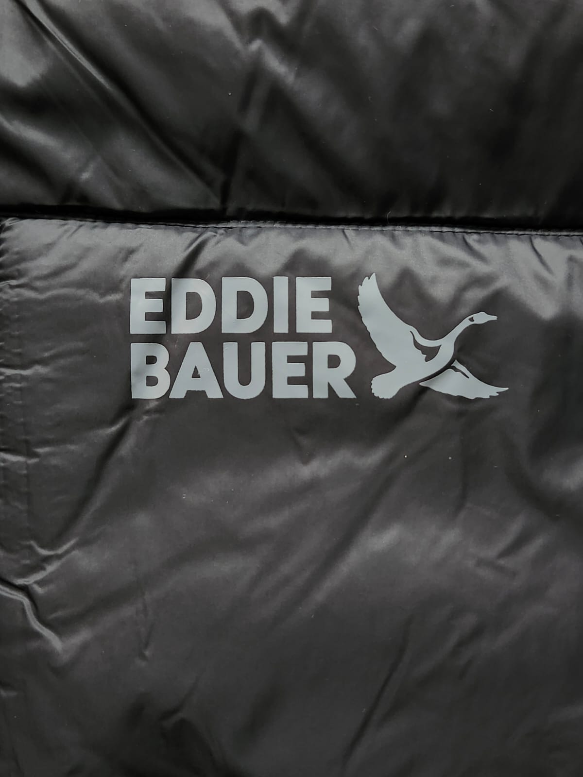 Chaqueta Eddie Bauer Stratuslite Crosstown Hoodie