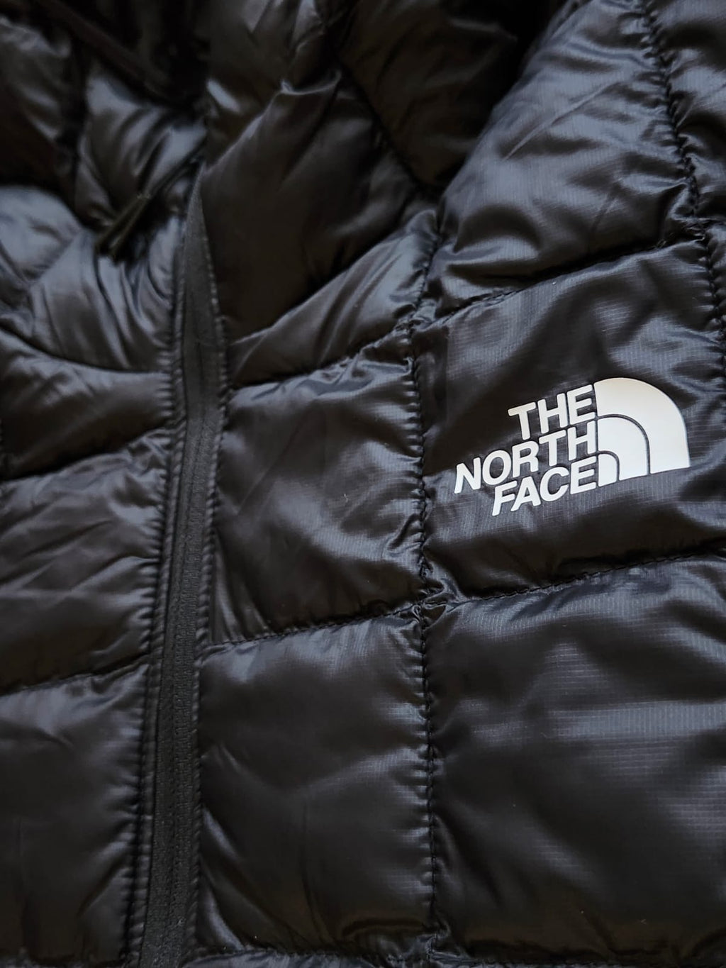Chaqueta The North Face Thermoball Eco Hoodie
