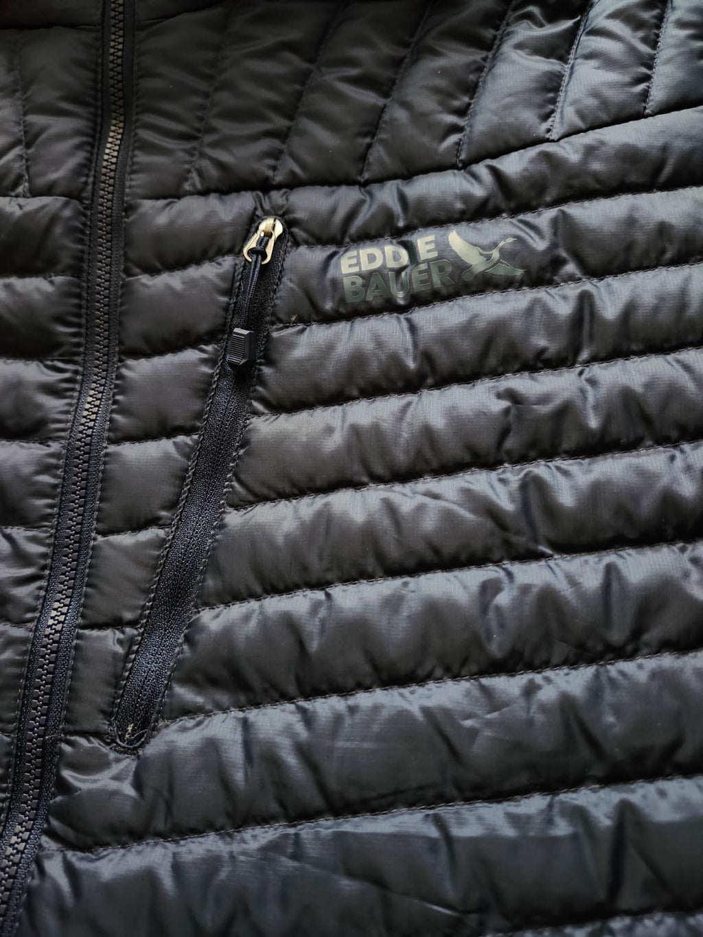 Chaqueta Eddie Bauer Microtherm 2.0 Down Hooded