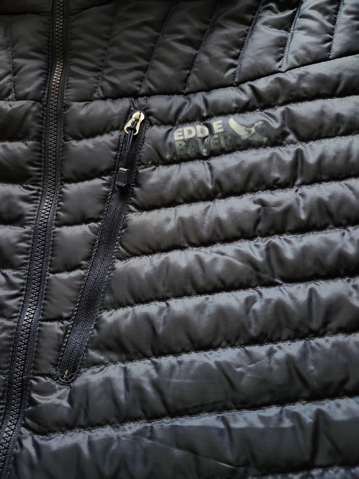 Chaqueta Eddie Bauer Microtherm 2.0 Down Hooded