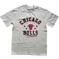 Camiseta Chicago Bulls