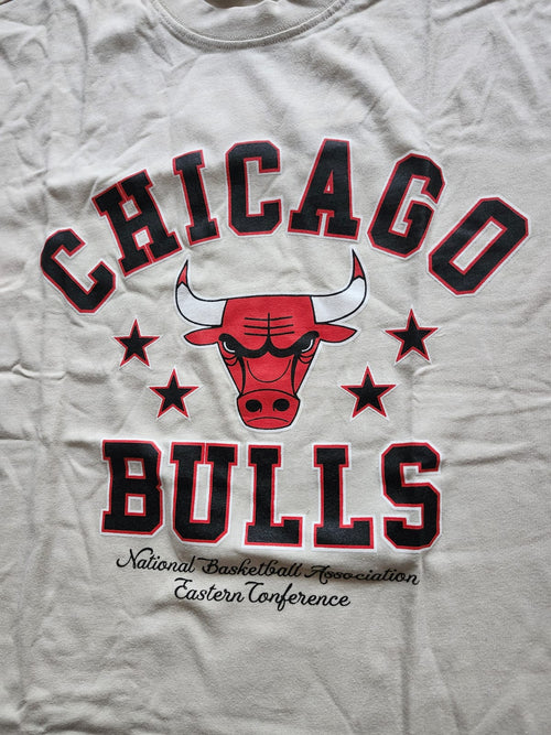 Camiseta Chicago Bulls