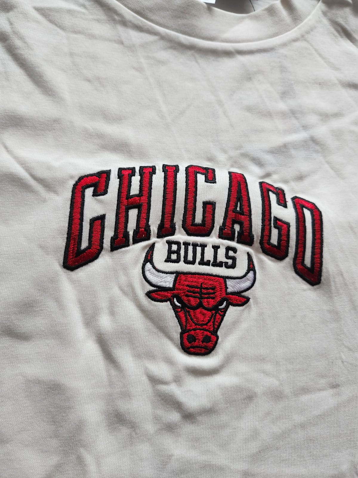 Camiseta Chicago Bulls